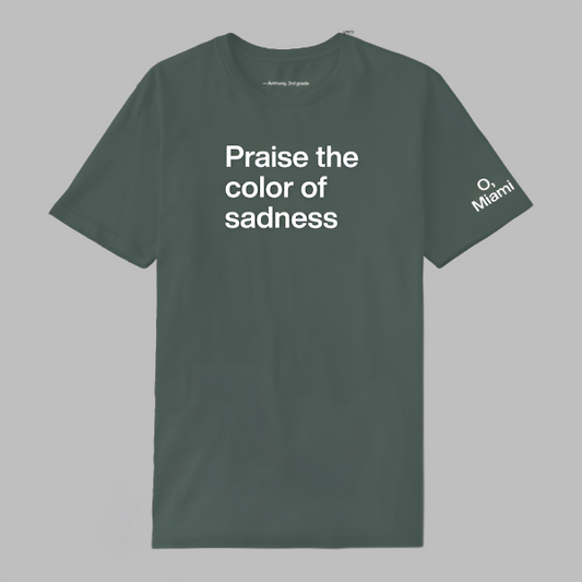 Praise the color of sadness T-Shirt