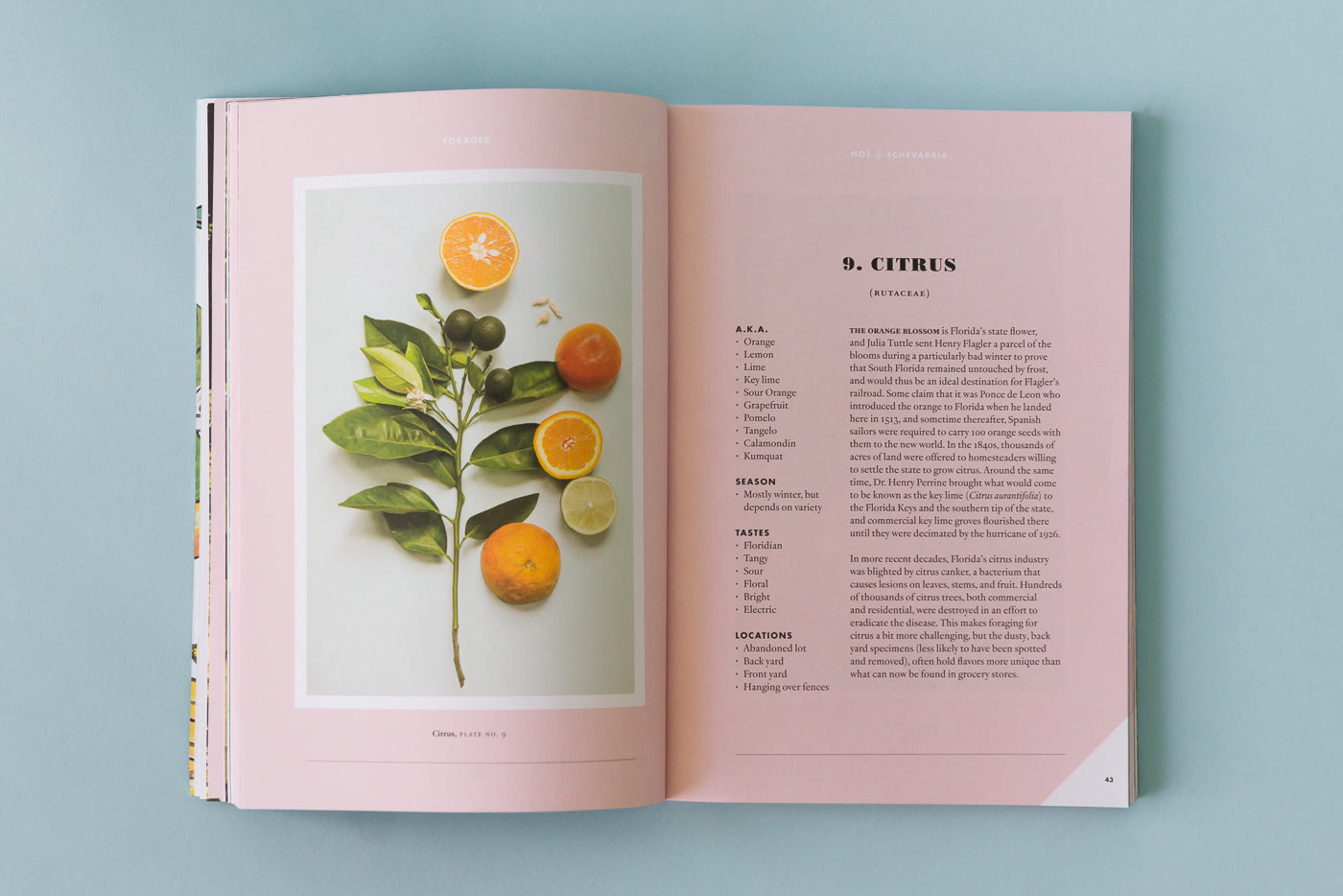 Forager: A Subjective Guide to Miami's Edible Plants